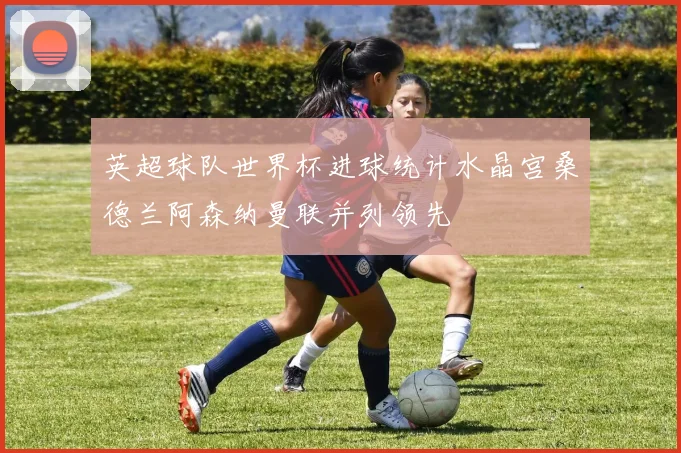 英超球队世界杯进球统计水晶宫桑德兰阿森纳曼联并列领先